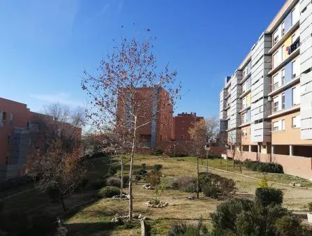 Madrid Arquitectura Rehabilitacion Viviendas Arroyomolinos